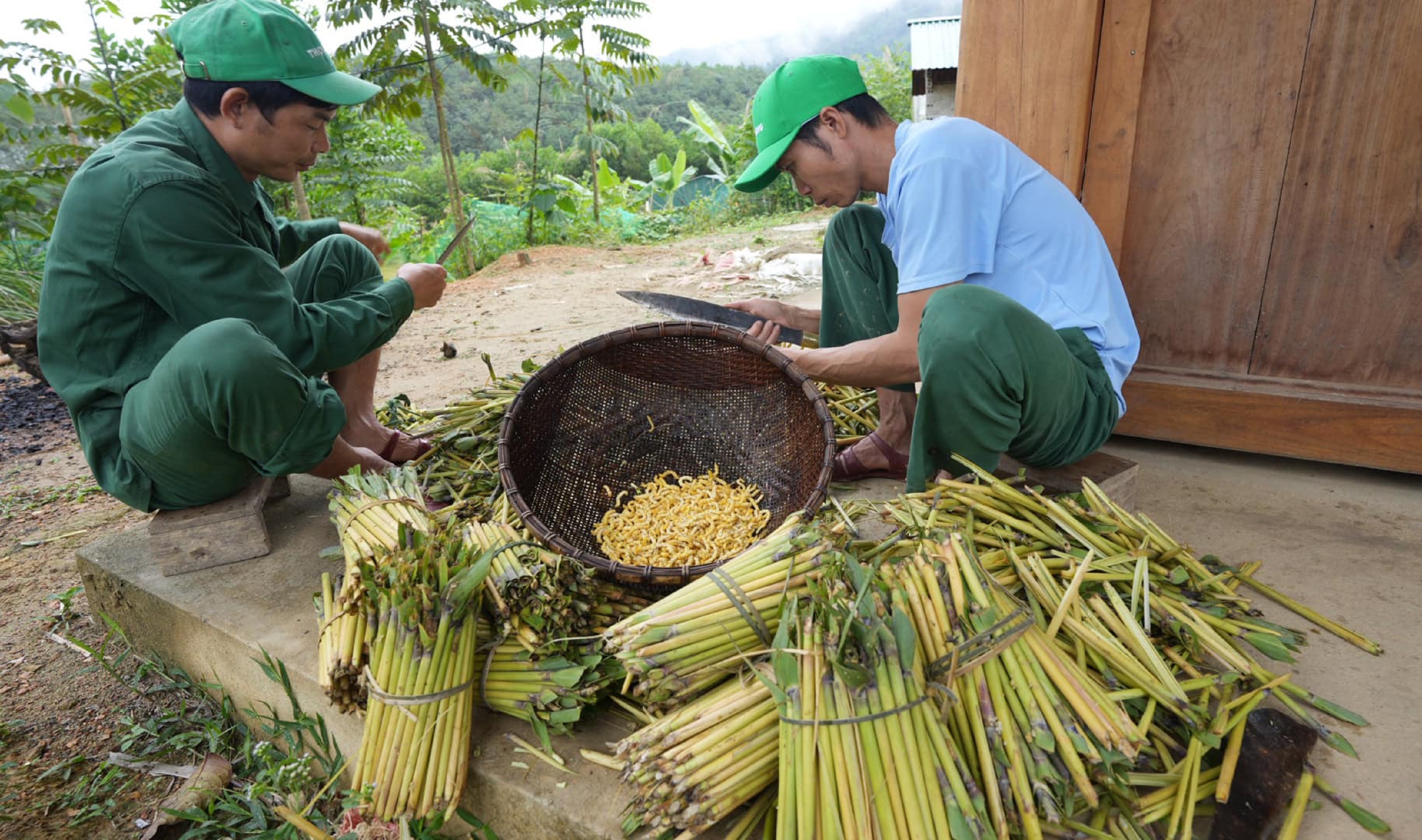 Mùa đông về đi săn sâu chít